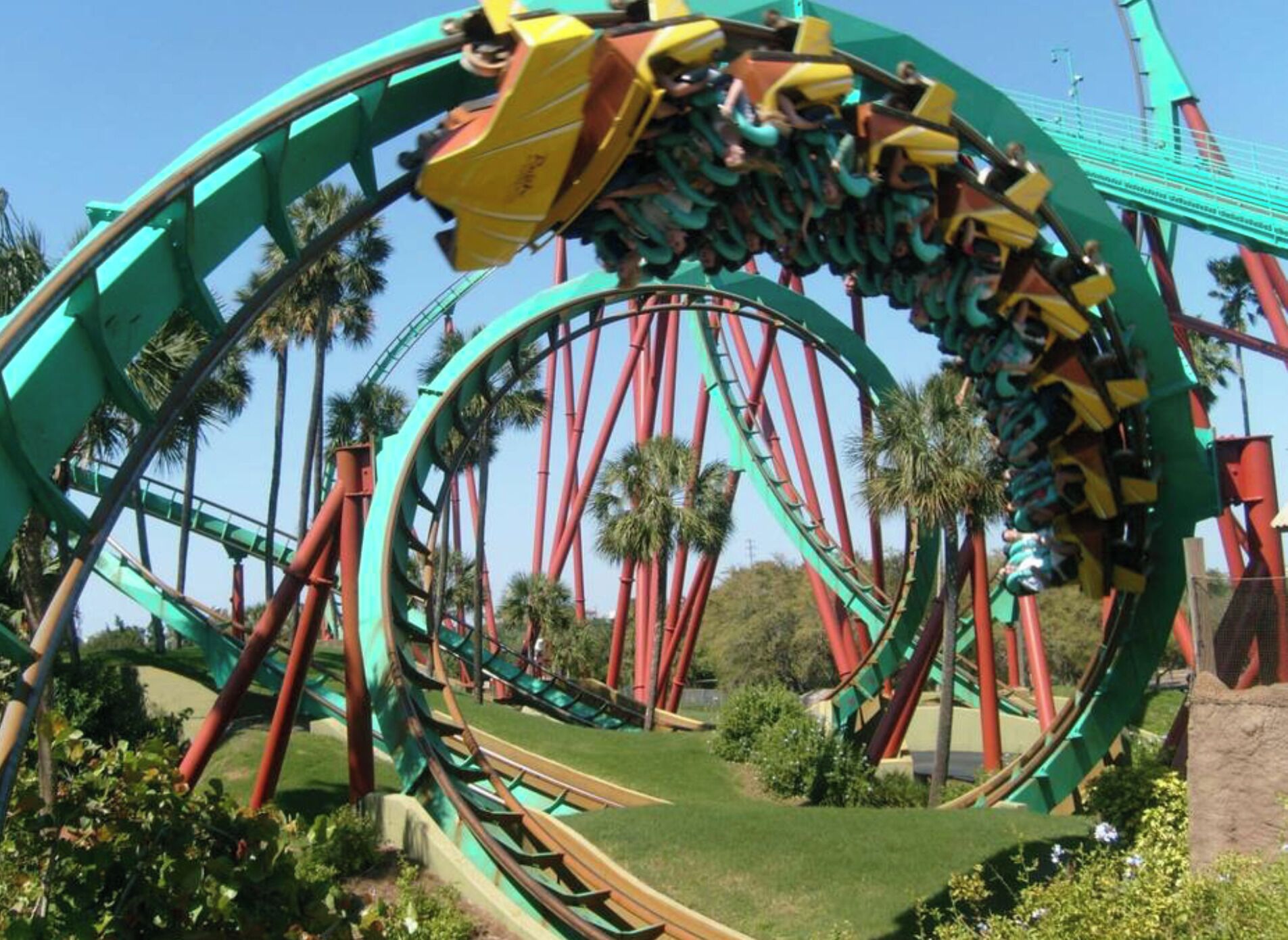 A roller coaster with a circular track, surrounded by greenery and palm trees.