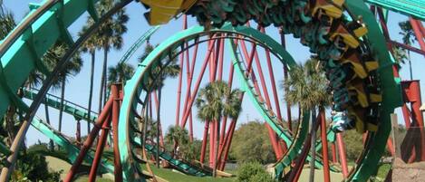 A roller coaster with a circular track, surrounded by greenery and palm trees.