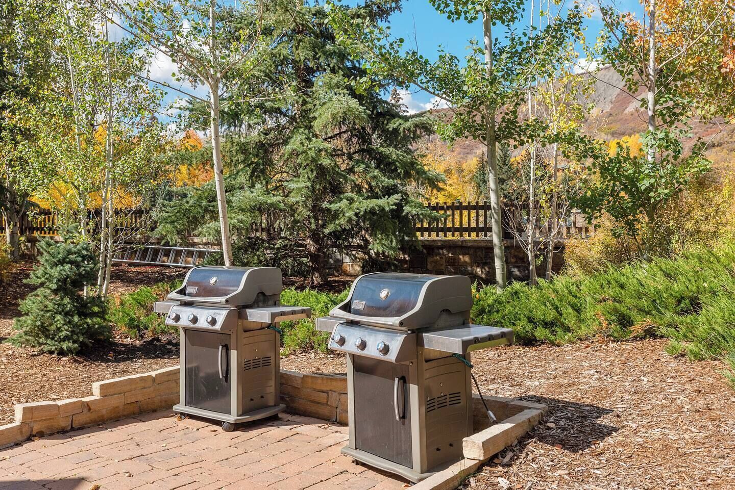 Dos parrillas de barbacoa al aire libre en un área ajardinada con árboles y una valla de madera al fondo.