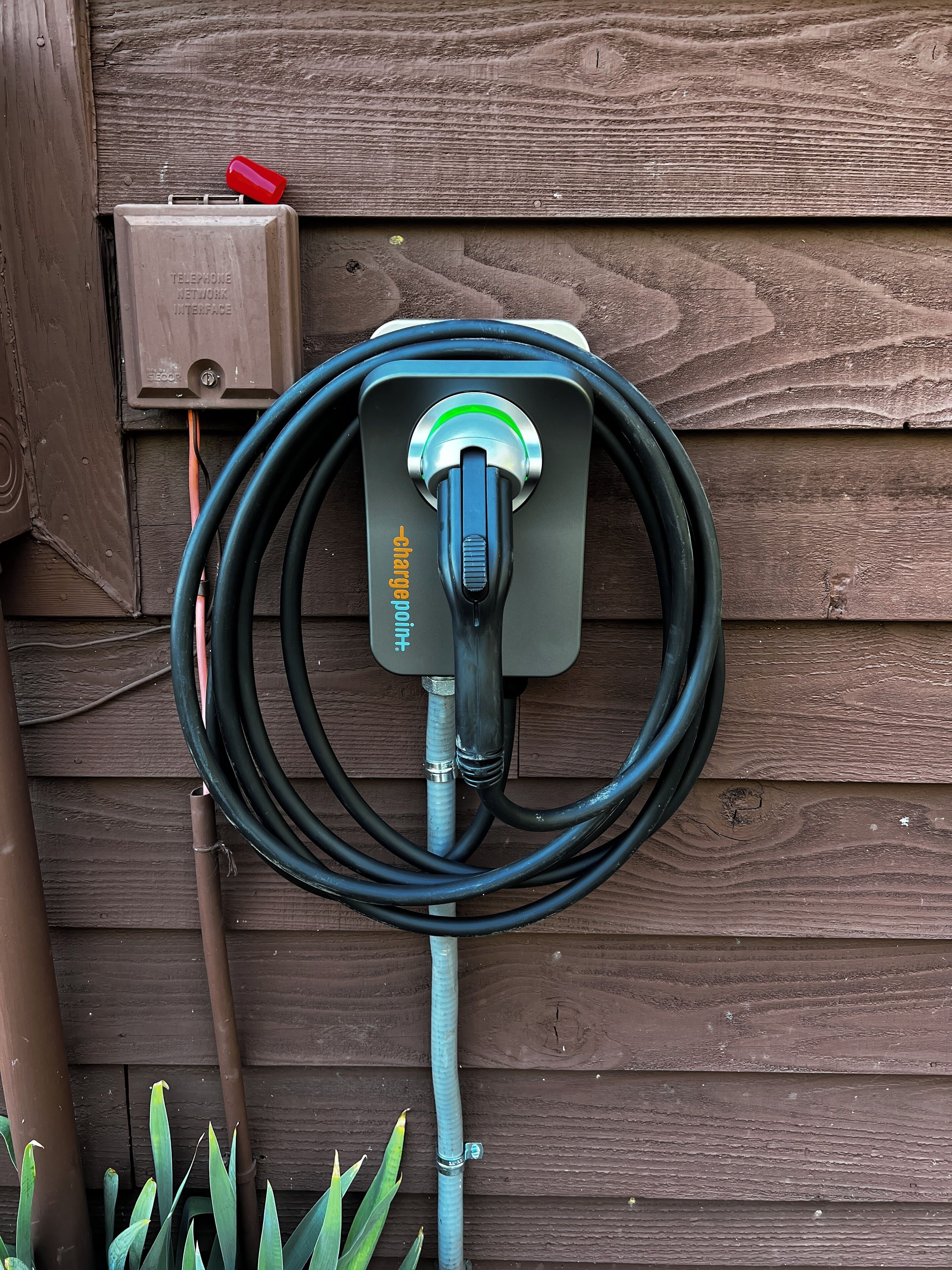 A garden hose coiled and attached to a wall-mounted electrical outlet with a red cap and a label reading "TELEPHONE NETWORK INTERFACE."