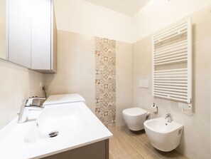 Shower, hair dryer, bidet, towels