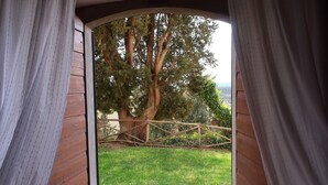 Une fenêtre à cadre en bois, ornée de rideaux, donnant sur une cour verdoyante et un arbre.
