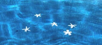 Individual chalet with private pool in Alcolea