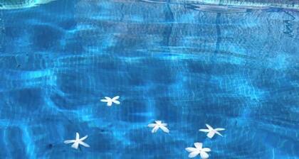 Individual chalet with private pool in Alcolea