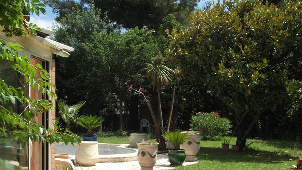A garden with potted plants and a pathway leading to a building.