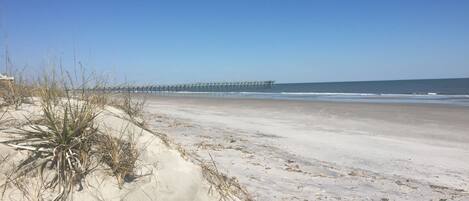 A beach with a pier extending into the ocean, sandy dunes, and sparse vegetation.