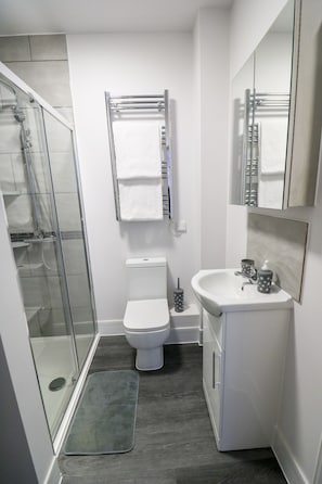 Superior Apartment | Bathroom