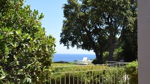A view of a large tree and a clear blue sky.