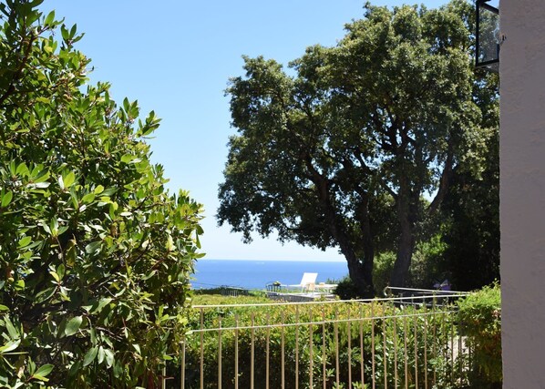 Property grounds - Idyllic vacation dream (Cavalaire-sur-Mer)