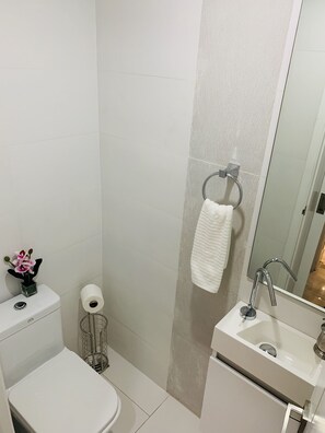 Secador de pelo, toallas, jabón, shampoo