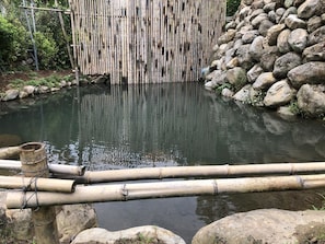 A tranquil pond with bamboo fencing and rocks.