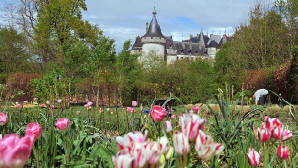 A historic building with a prominent tower, surrounded by a well-maintained garden with tulips. - The house of La Digue, 2 bedrooms with terrace and parking (Blois)