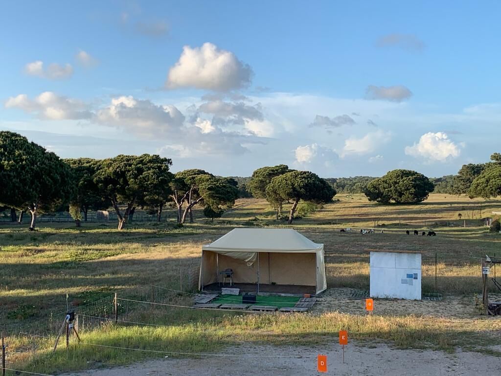 A tented area with a green mat, a small white structure, and a fenced area.