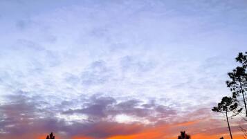 A sunset with a silhouette of trees against a sky with clouds.