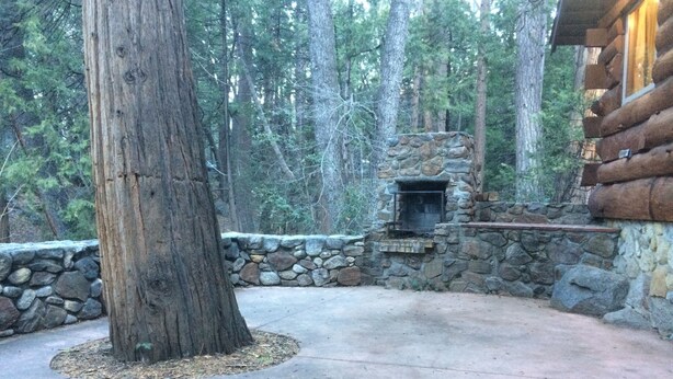 A stone fireplace with a stone wall and a large tree in a forested area.
