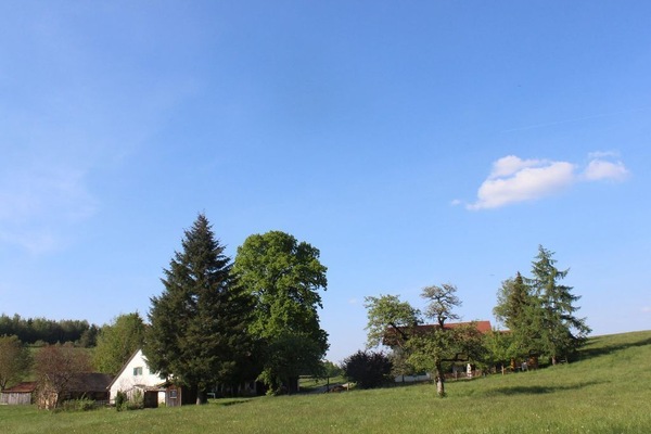 Auszeit auf dem Lindenhof