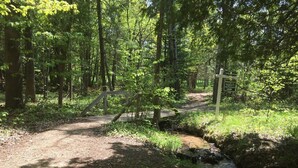 Une zone boisée avec un sentier de terre qui mène à un petit pont enjambant un ruisseau.