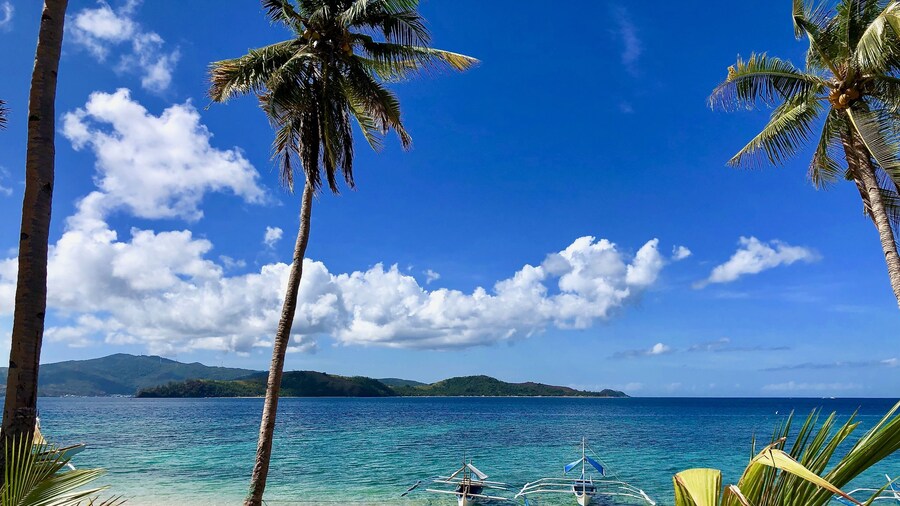 Sunset Cove Beach & Dive Resort