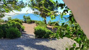 Un sentier de gravier mène à une plage bordée d’une végétation luxuriante et offrant une vue dégagée sur la mer.