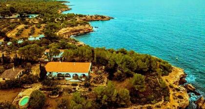 Meritalo l'Ametllassa. Santes Creus. VAN EYCK