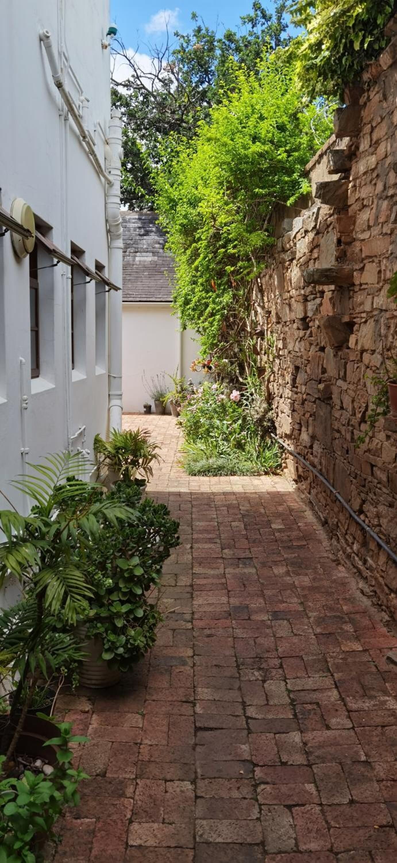 A narrow brick pathway flanked by a white building and a stone wall, with lush greenery and potted plants.