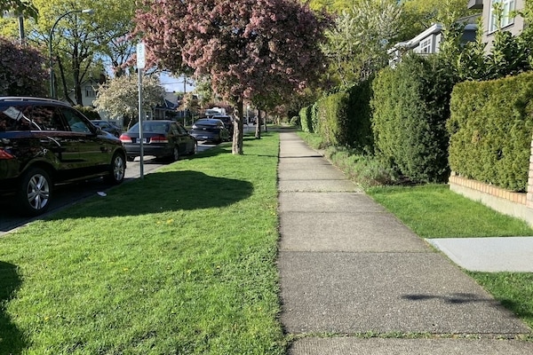 A peaceful tree lined street steps to the Riley Park