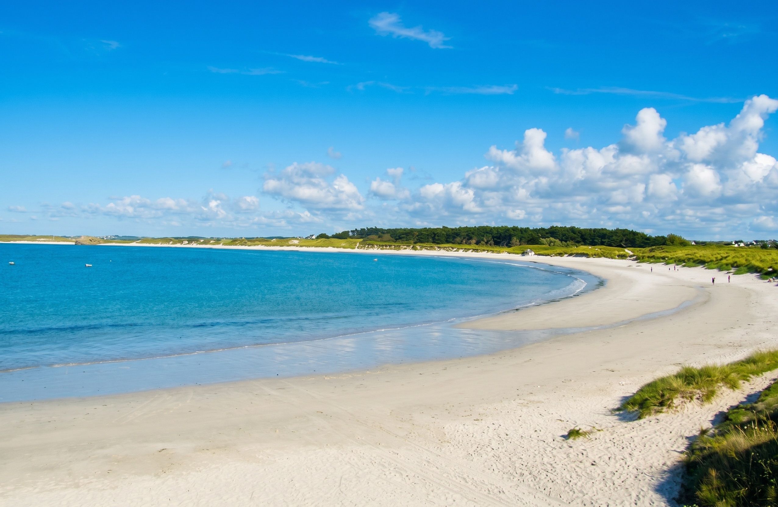 A beach with a clear sky, sandy shore, and a distant forested area.
