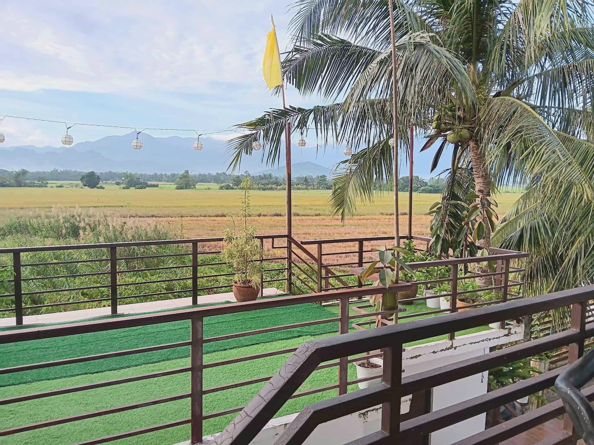 A balcony with a view of a green field and palm trees, a yellow flag, and string lights.