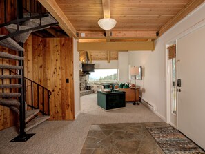 Smart TV, chimenea, videojuegos y reproductor de DVD 