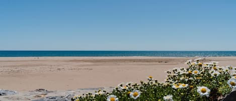 NĂ€ra stranden
