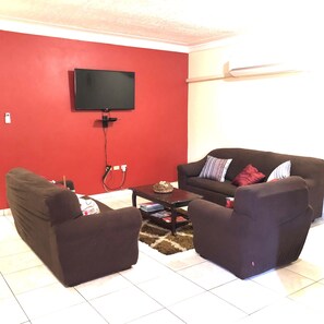 Televisio, DVD-soitin