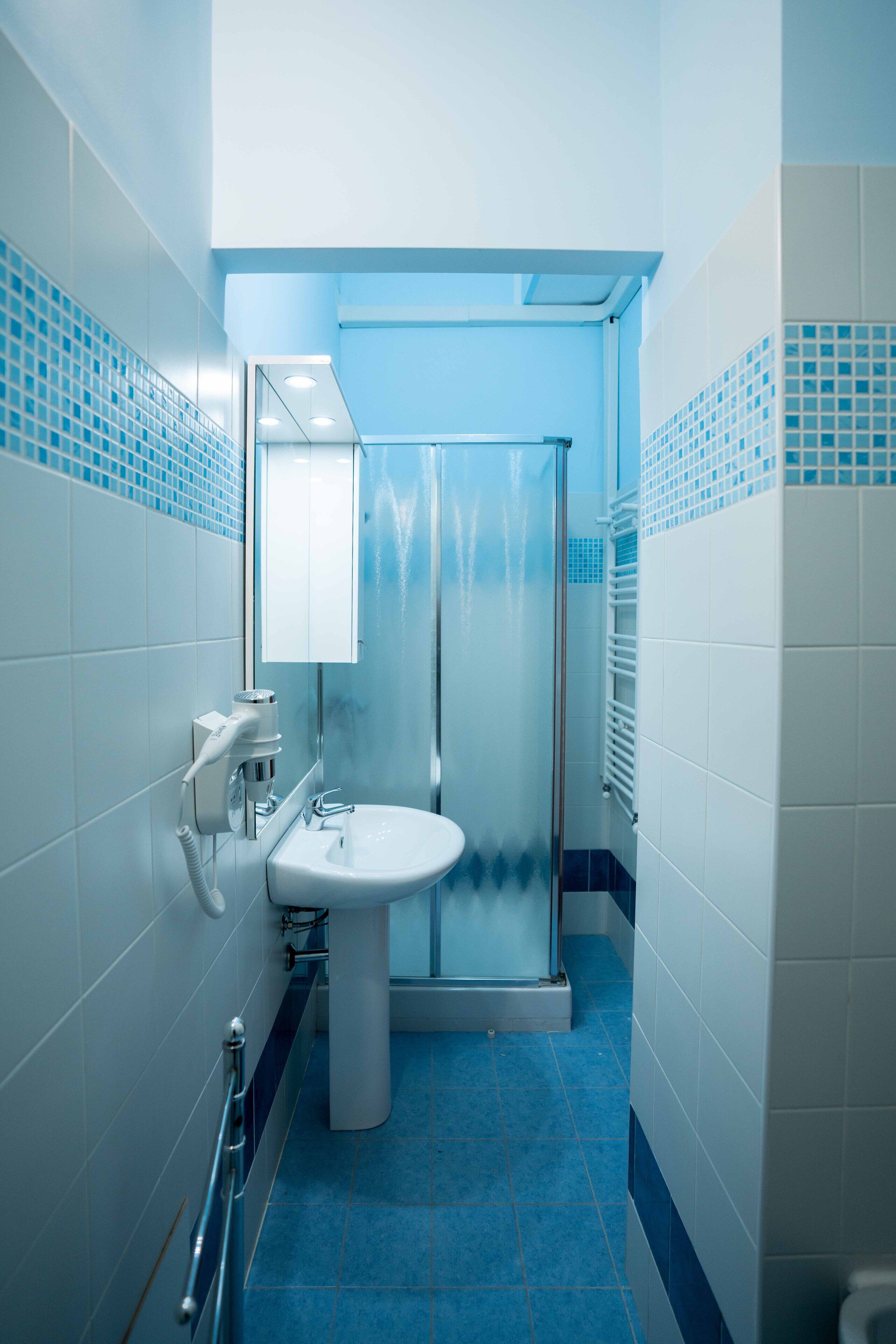 Shower, hair dryer, bidet, towels