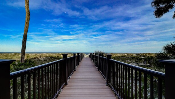 Een houten looppad dat naar een strand leidt, met duinen en palmbomen.