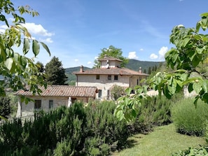 Exterior - Spacious home on beautiful Tuscan vineyard.  Near Florence. (Pelago)