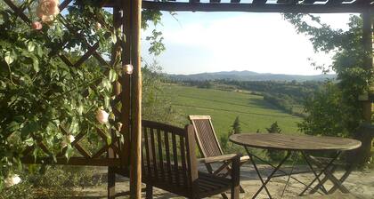 Spacious home on beautiful Tuscan vineyard. Near Florence.