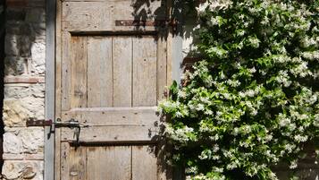 DĂ©tail de lâextĂ©rieur