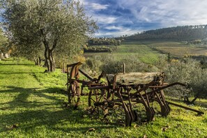 Outdoor dining - Spacious home on beautiful Tuscan vineyard.  Near Florence. (Pelago)