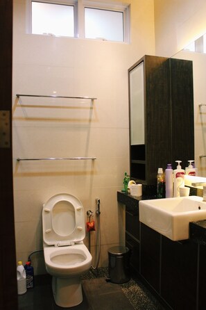 Hair dryer, soap, shampoo