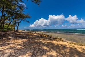 A beach with clear skies, ocean waves, and scattered trees.