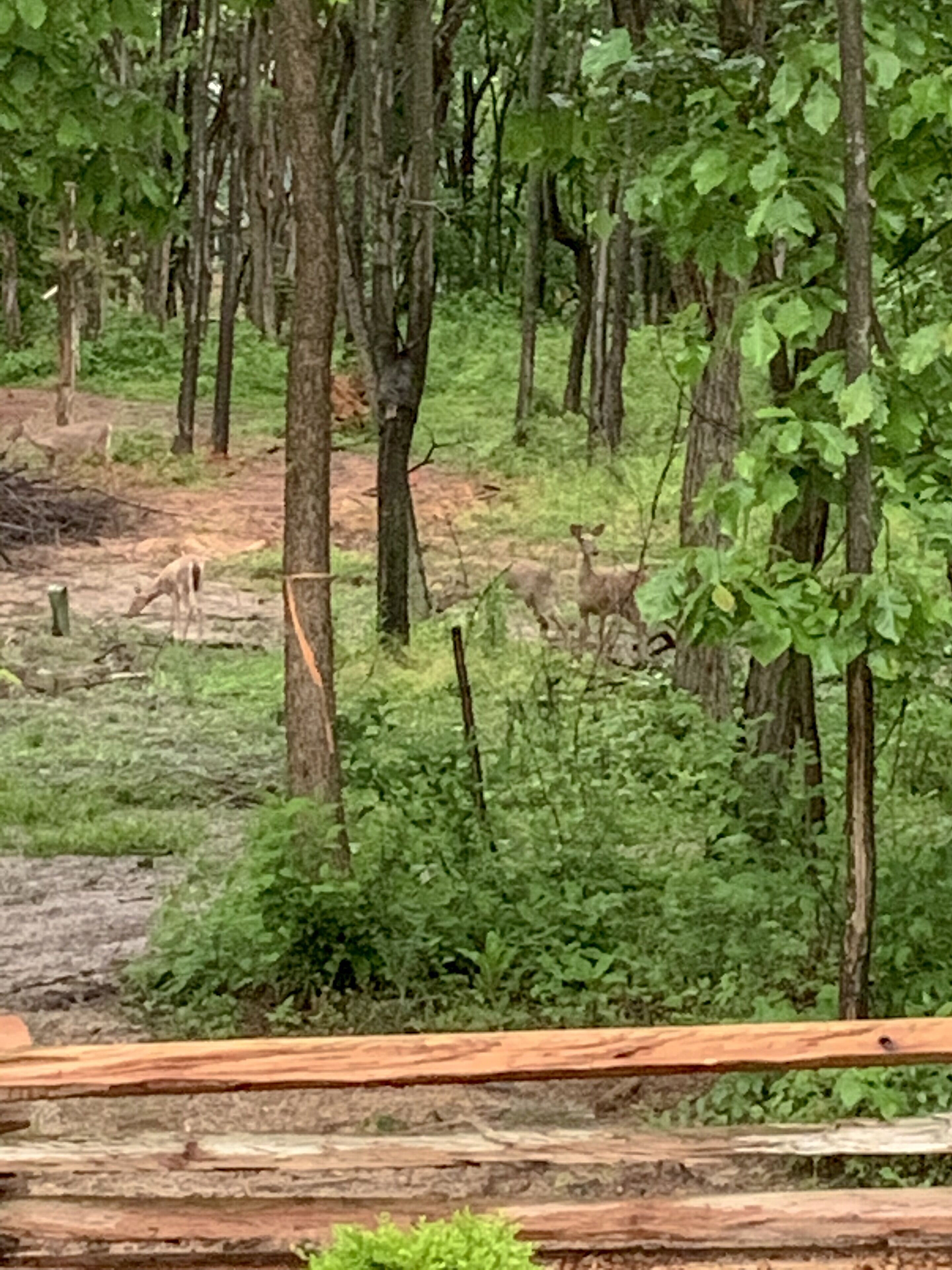 住宿场地