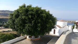 A tree in a pot on a rooftop, a white building with a brown door, and a view of the sea.