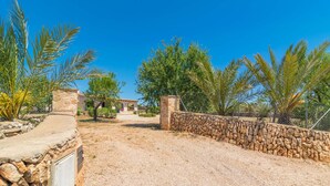 Un sendero de piedra que conduce a un edificio, con un muro de piedra a un lado y palmeras al otro.