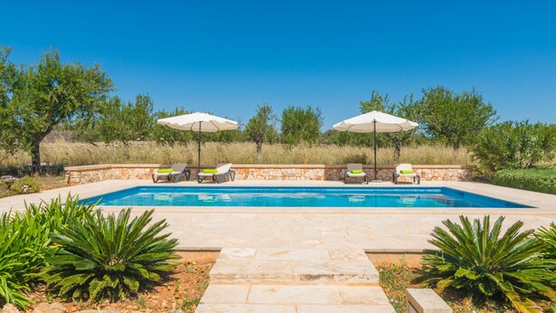 Piscina rectangular con dos sombrillas blancas y sillones de descanso.