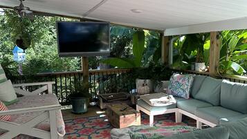 Smart TV, fireplace, books, video library