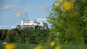 Eine Burg auf einem Hügel, umgeben von viel Grün.