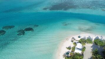 Pantai berhampiran, selam skuba, bersnorkel, luncur air