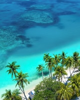 Ubicación cercana a la playa, submarinismo y buceo con tubo