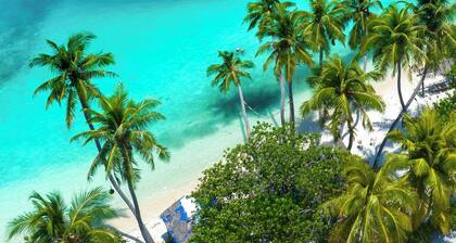 Araamu Hotels Maldives