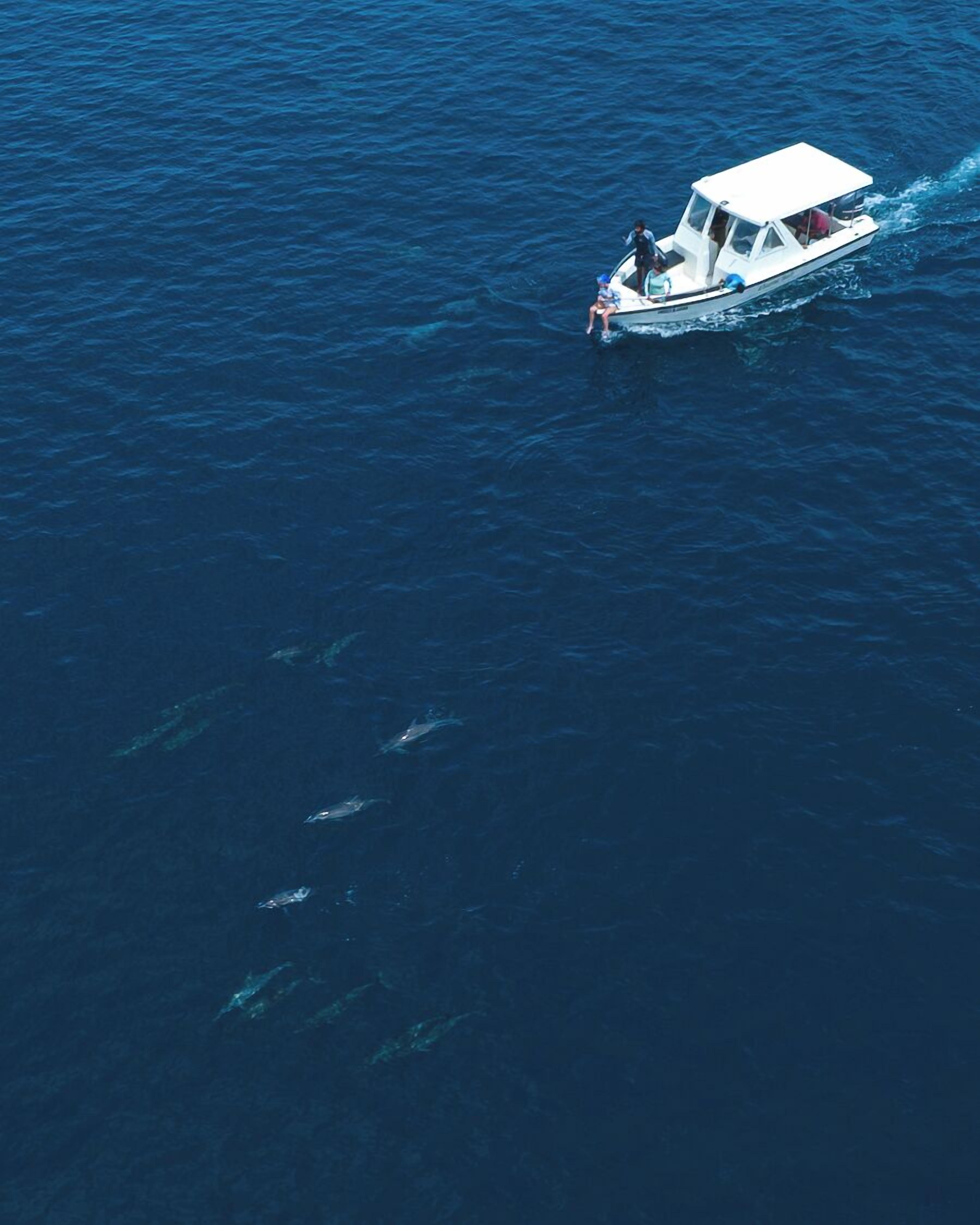 A boat with a white cabin and a person standing at the bow, surrounded by calm blue water.