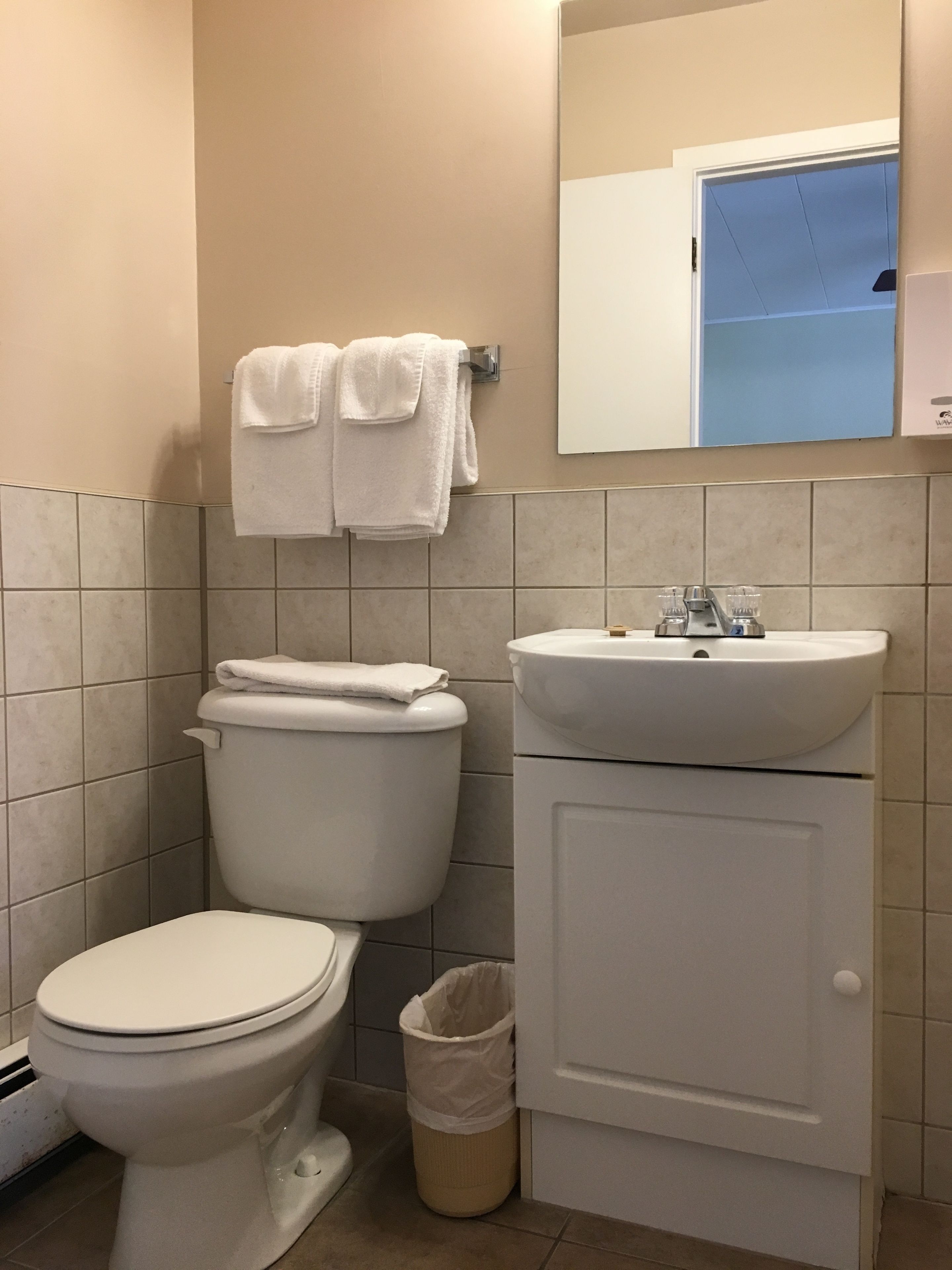 Un baño con inodoro, lavamanos y espejo.